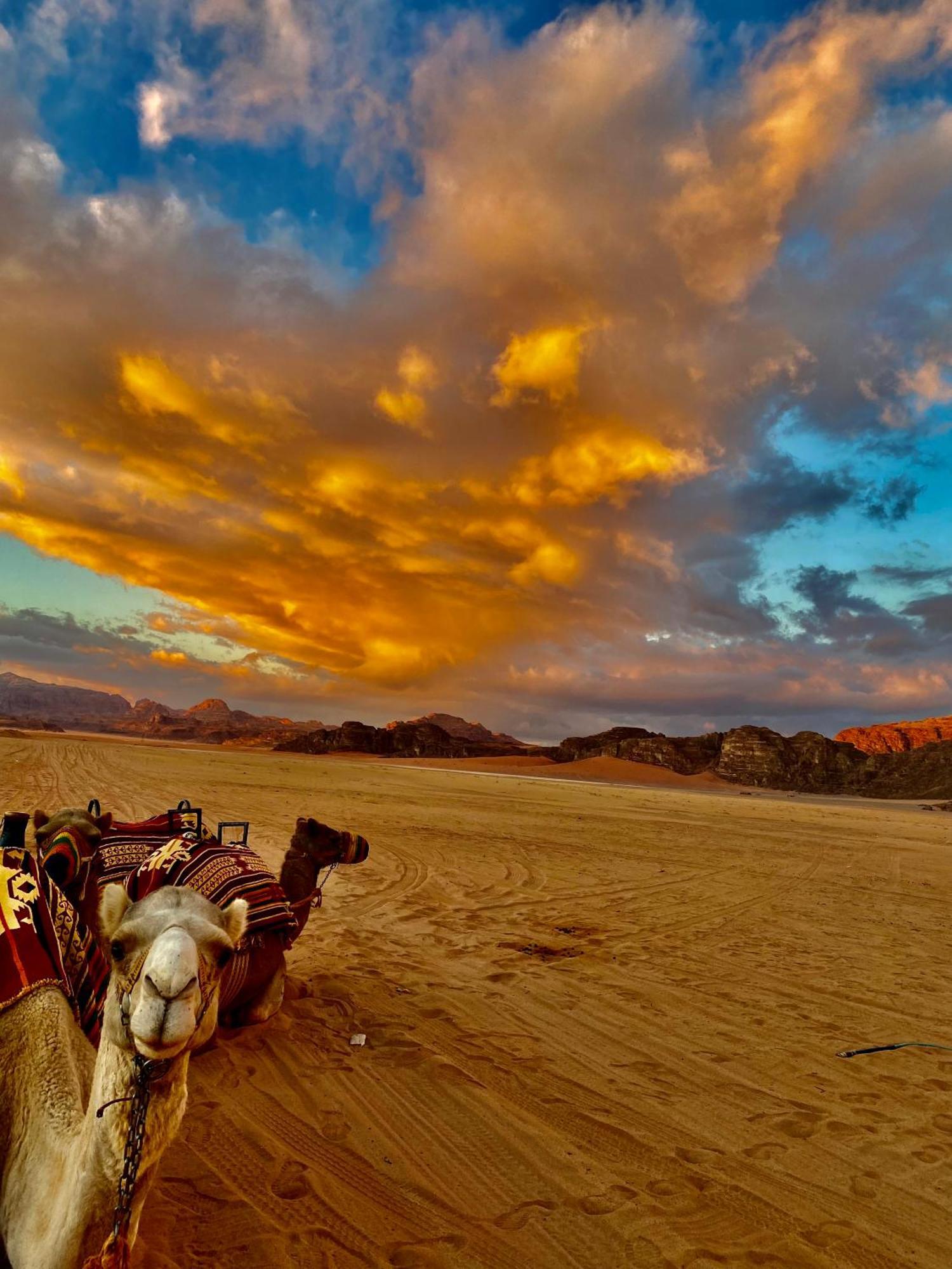 Rum Four Mountain Luxury Camp 와디럼 외부 사진